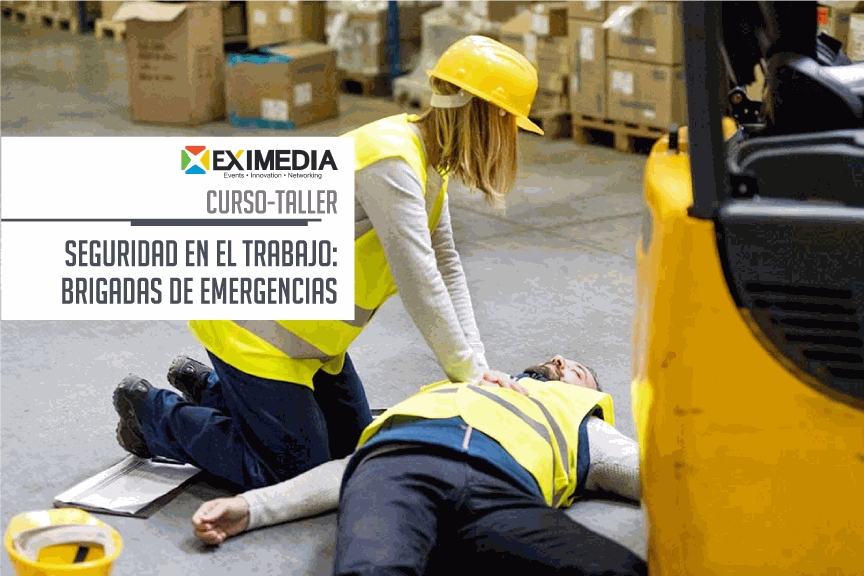 Odoo - Prueba 2 a tres columnas